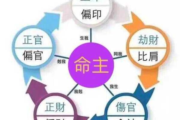 属龙与属马之命理分析：探索不同命理的奇妙之处