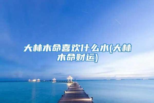 2024年：水命占主导，探索命理背后的智慧与哲理