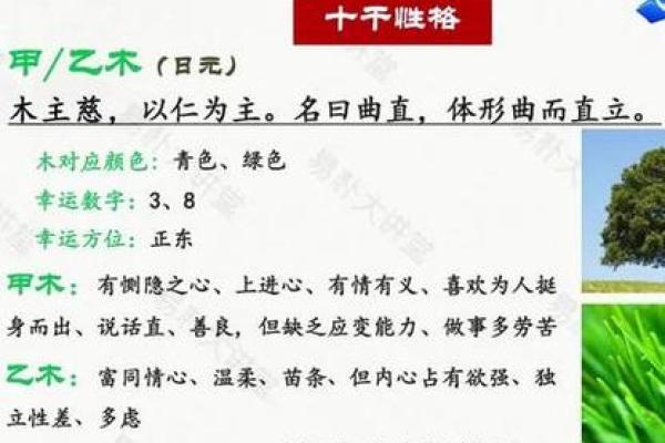 三命通会：命贵的深刻内涵解析与生活启示