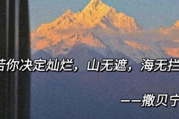 2010年属虎的命理解析：人生旅途的精彩篇章