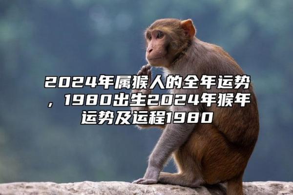 探秘男猴1992的命运与性格特征：解读天干地支的深层意义