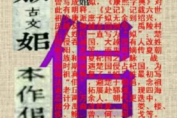 帝乃命禹：历史长河中的英雄与治水传奇