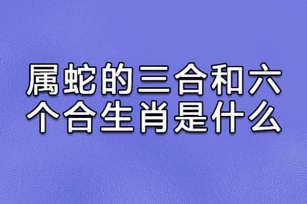 一九九三属鸡：探索命理背后的个性与运势