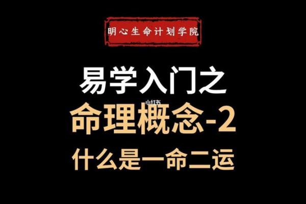 金命人为何优于木命人？探秘人生的命理奥秘！