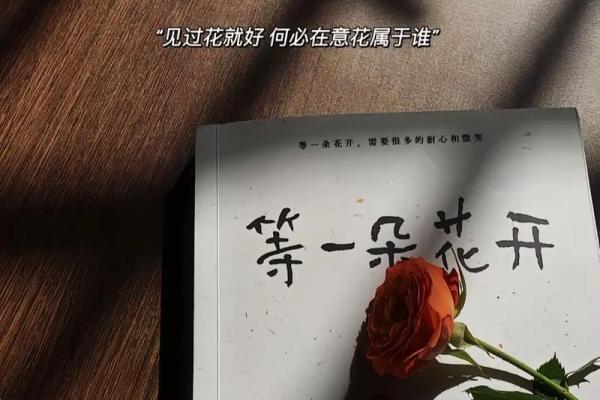 生活中的“何必”与“命中注定”的智慧探寻