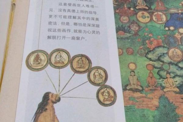 东四命克命解析：命理学中的深奥之境与自我修行之道