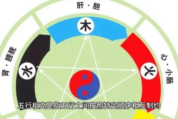 金命与木命的相克关系解析：解读五行之间的微妙关系