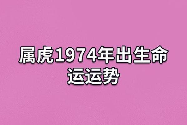 19970303出生的人生轨迹与命运解析