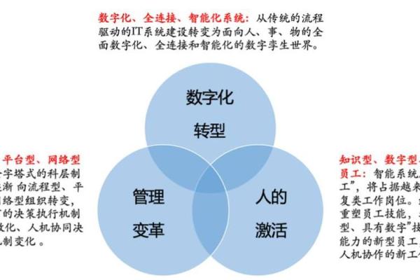 探索数字命理的魅力：发现内心潜能与成长之道