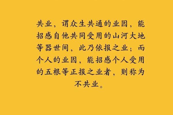 六十岁了属什么生肖，探寻命运的奥秘与人生的智慧