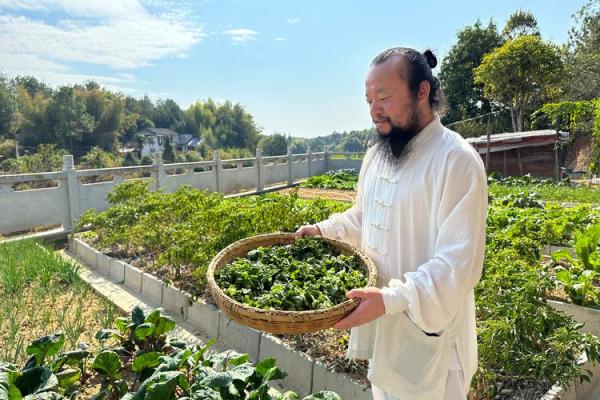 揭秘命理起命宫法：探寻人生运势的奥秘与智慧