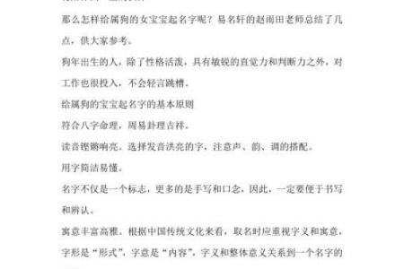 属狗者的命格解析：50岁人生的转折与机遇