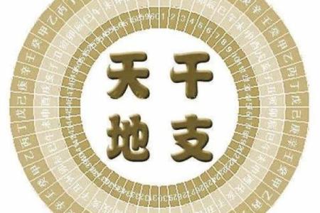 正月过生日的命运解析：揭示出生月份的奥秘与人生轨迹