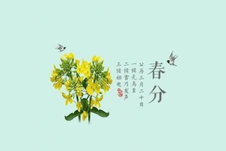 命理五朵金花：揭示命运的五大关键因素