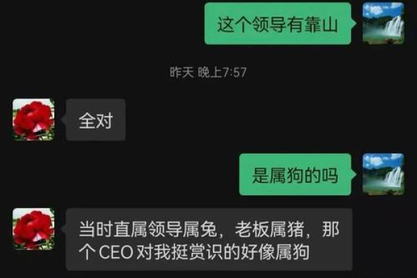 探索乾命辛金的职业选择与行业适合性