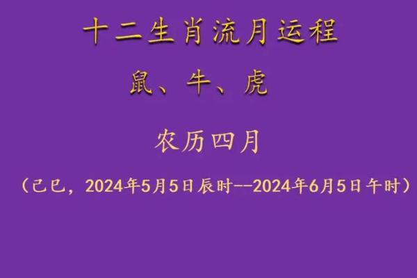 2022年寅虎年：探秘十二生肖中的命理与运势