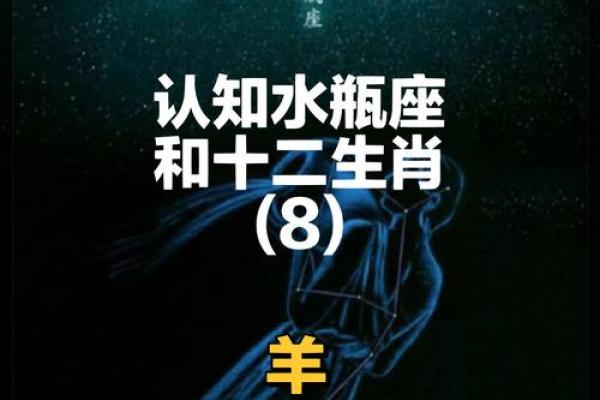 1977年出生的人：探索命运与性格的星座之旅