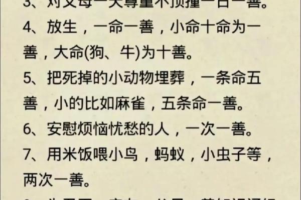 一命还一命，你怕什么：探讨生命的价值与勇气