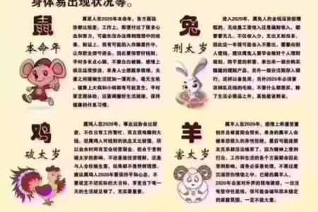 2011年属兔：命格解析与人生运势的全面剖析