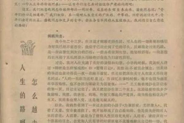 鼠年腊月出生的命格解析：揭示命运的奥秘与人生之路