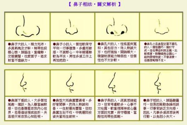 脚指头的奥秘：从形状看命运与个性解读