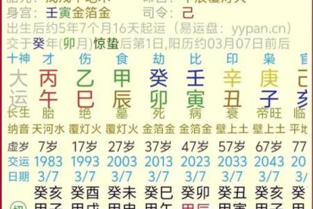 2019年出生的孩子属什么命？解密命理与性格的奥秘！