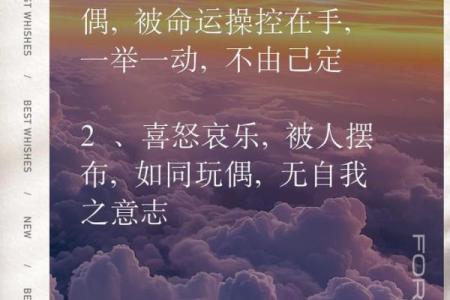 三分命运，七分运气：揭开人生的神秘面纱