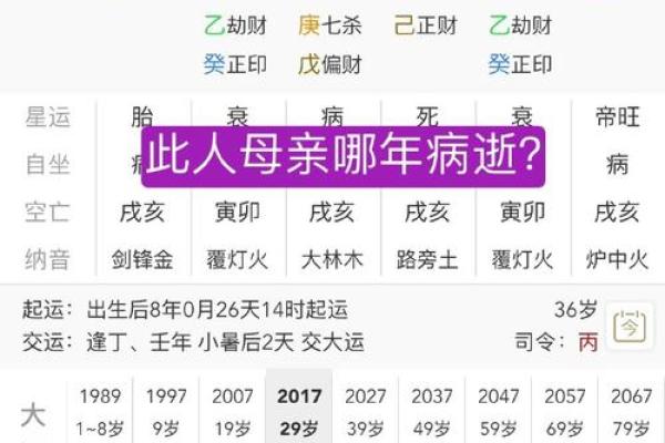 1982年狗属相命理解析：解读戊戌年生人的命运与特点！