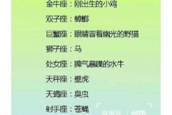 水牛命与星座的神秘联结：探索性格与命运的奥秘