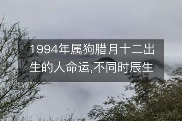 1990年：命运之年，何以定义人生的转折与机遇？