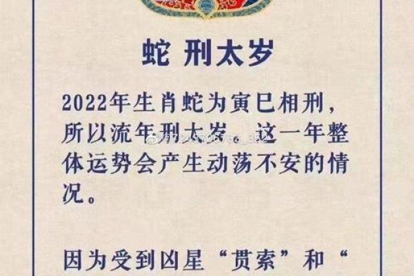 属狗人的太岁命解析：与命运的深度探讨与启示