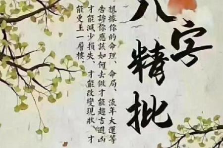 1993年与八字命理：探寻命运之路的奥秘与哲学