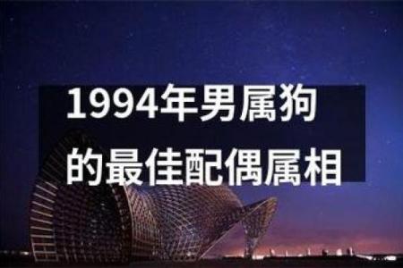 1994年属狗的命运与性格分析，探寻人生道路的钥匙