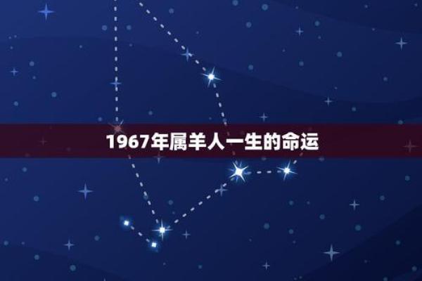 2006年狗年的命运分析与人生启示