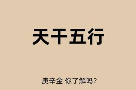 辛金女命与男命的独特区别分析：让你更懂自己的命理缘分