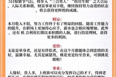 1971年属相猪人的命运揭示与人生智慧分享