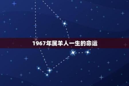 2006年狗年的命运分析与人生启示