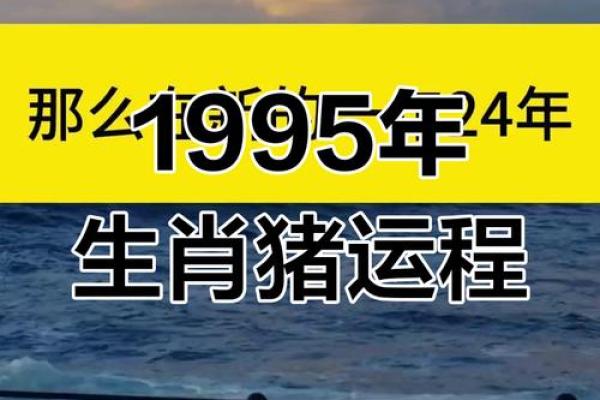 1995年属什么生肖和命运解析，深度揭秘你的性格与运势