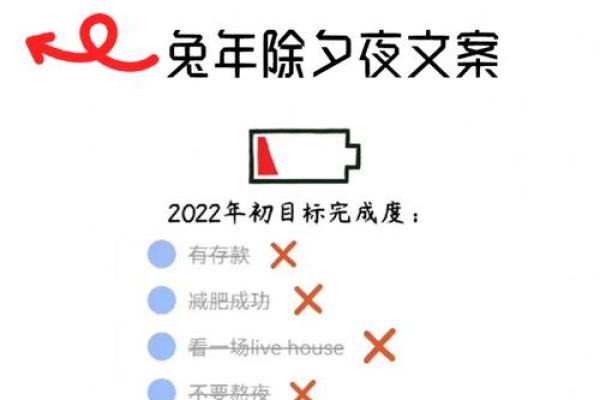 兔年命格揭秘：2023年我们缺少什么？