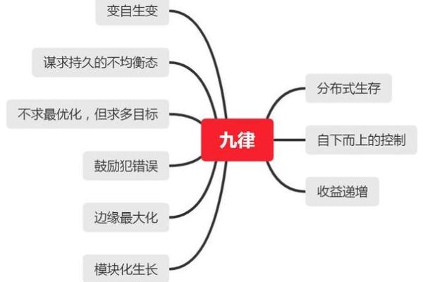 1948年出生的女性命运解析：探索她们的生活与情感财富