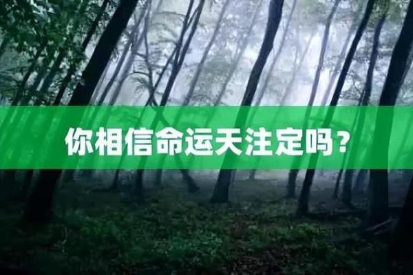 揭示不同出生日期所代表的命运奥秘！