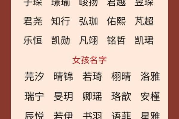 2023年出生宝宝命理分析：解读五行与未来运势