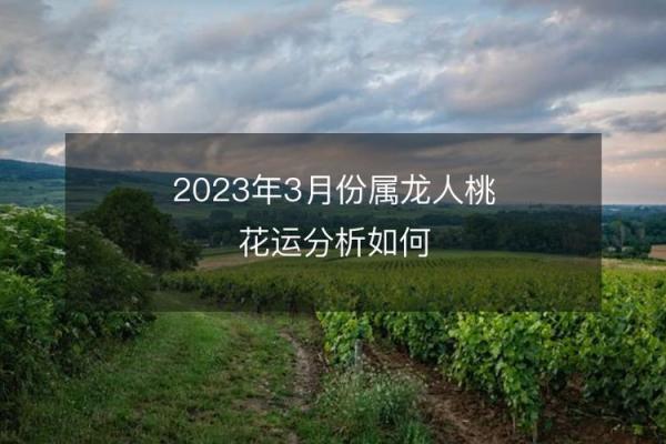 2000年庚辰年：龙年里的机遇与挑战