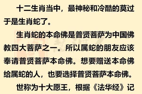 揭秘生肖命理：解析不同生肖老板的成功秘诀与管理智慧