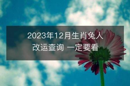 2024年兔宝宝命理解析：如何选择适合的生活和事业方向