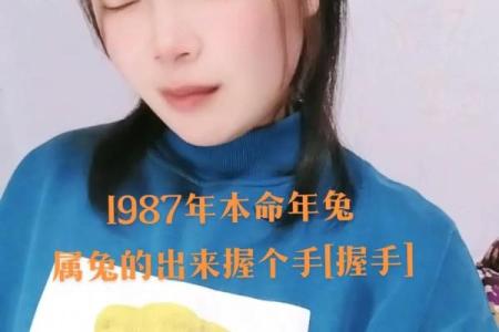 1987年兔的命运与性格：一生的关键与机遇