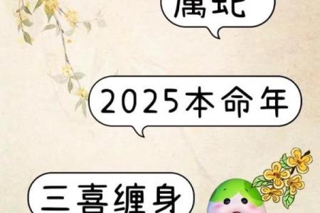 2025年属什么的什么命？深度解析生肖与命理的奥秘！