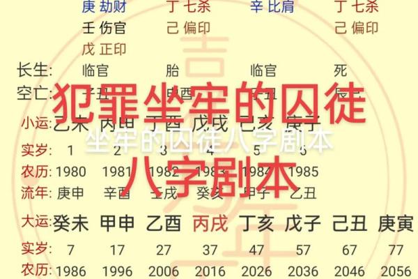 2004年10月21日命主解析：揭秘你的命理特征与人生方向