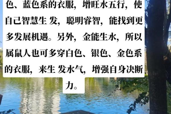 四四年是什么年？解析属鼠命的故事与智慧