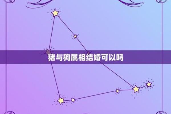 属狗与属猪：命运与性格的奇妙交织